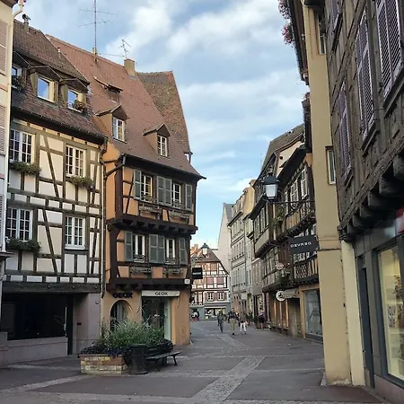 Les Du Cygne 公寓 科尔马