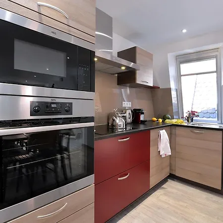 Les Du Cygne Apartment Colmar