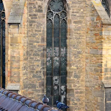 Apartman Les Du Cygne Colmar