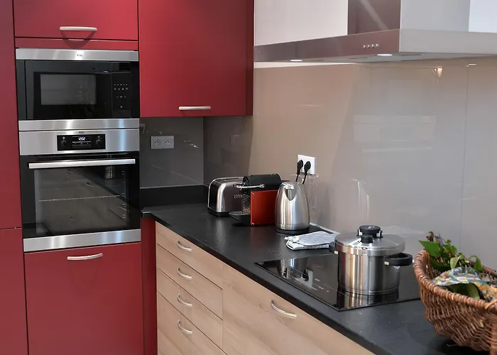 アパート Les Du Cygne コルマール