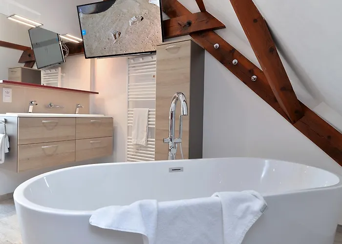 Les Du Cygne * コルマール