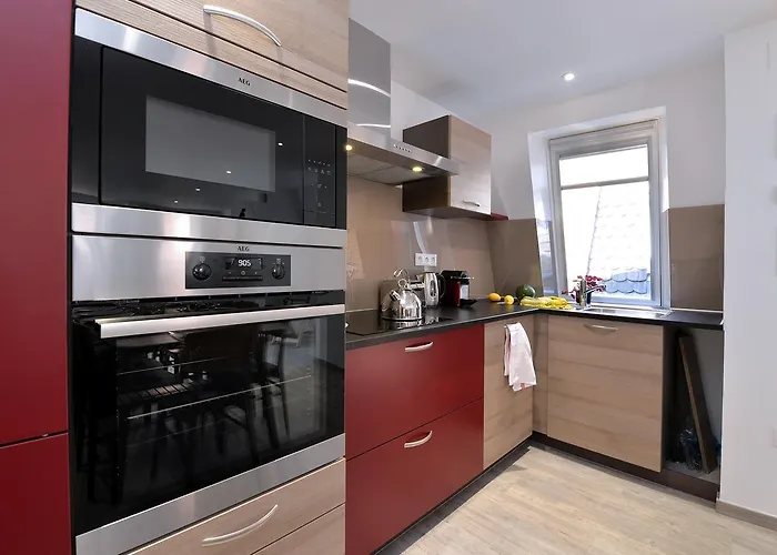 Les Du Cygne アパート コルマール