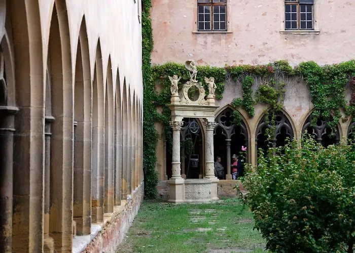 Les Du Cygne * コルマール